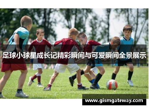 足球小球星成长记精彩瞬间与可爱瞬间全景展示