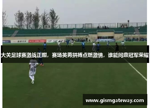 大关足球赛激战正酣，赛场英勇拼搏点燃激情，谁能问鼎冠军荣耀